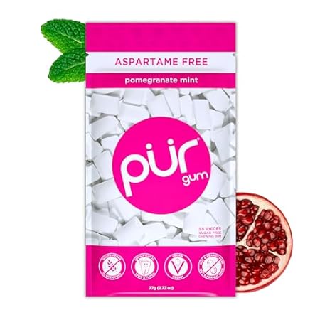 PUR Gum | Aspartame Free Chewing Gum | 100% Xylitol | Natural Pomegranate Mint Flavored Gum, 55 Pieces (Pack of 1)