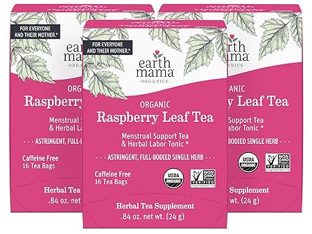 Earth Mama Organic Raspberry Leaf Tea Bags | Labor Tonic & Menstrual Support Herbal Tea, Red Raspberry Leaf Tea for Pregnancy & Postpartum Care Recovery, Caffeine Free Tea, Non GMO, (16 Teabags, 3-Pk)