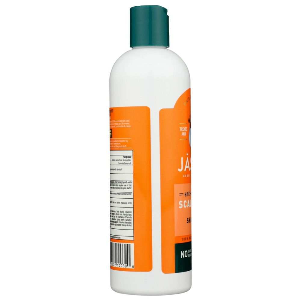 JASON: Anti Dandruff Scalp Care Shampoo -Sulfur Salicylic Acid|Treatment|12oz