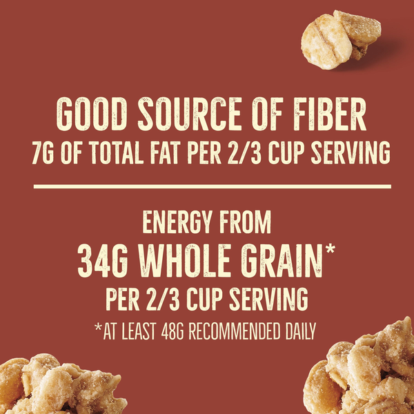 Nature Valley Protein Cinnamon Roll Granola