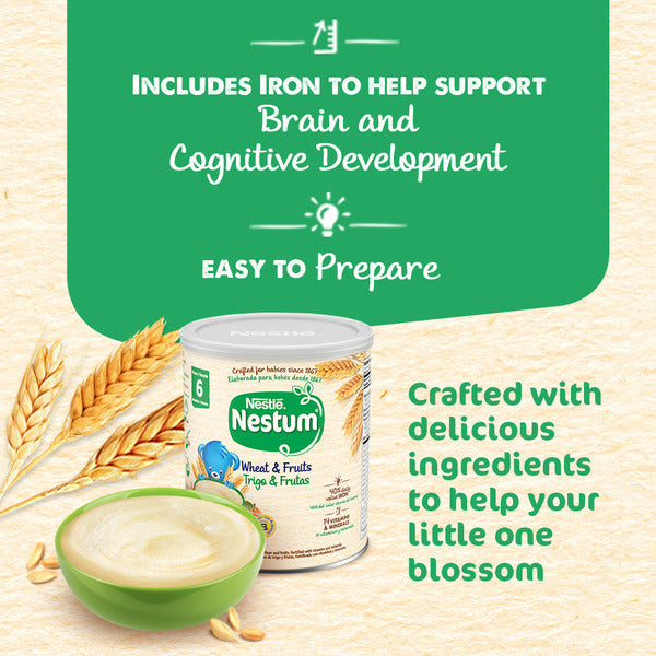 Nestlé NESTUM Infant Dry Cereal Export