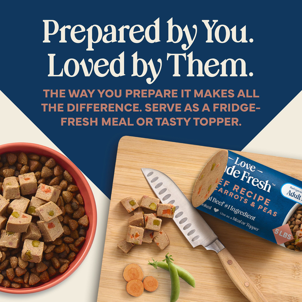 Blue Buffalo Love Made Fresh Dog Food, Refrigerated, Beef Recipe