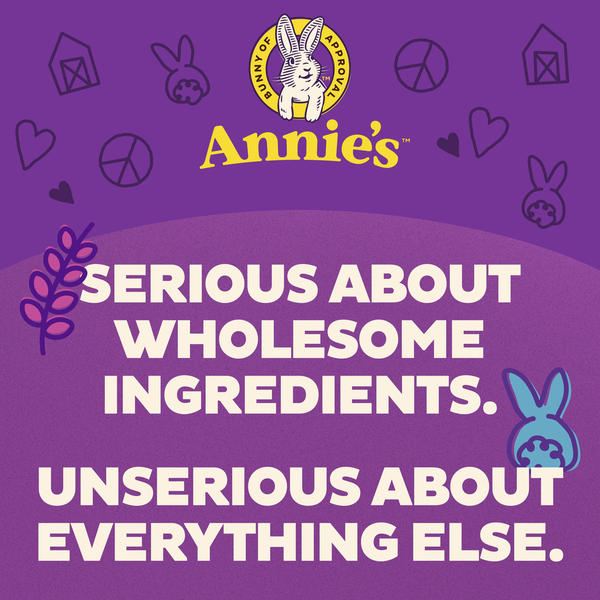 Annie's Organic Summer Strawberry Value Pack Fruit Flavored Snacks