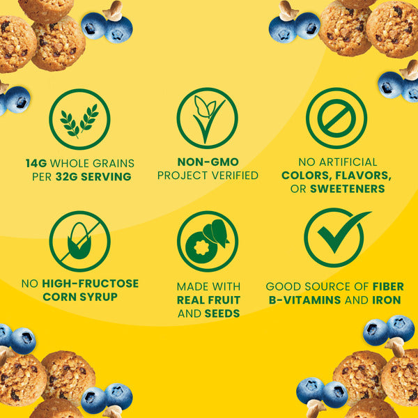 BELVITA Blueberry And Sunflower Seed 5 oz