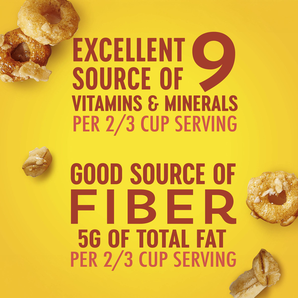 General Mills Cheerios Honey Nut Granola