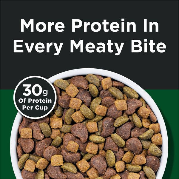 Purina Dog Chow High Protein Dry Dog Food With Real Beef