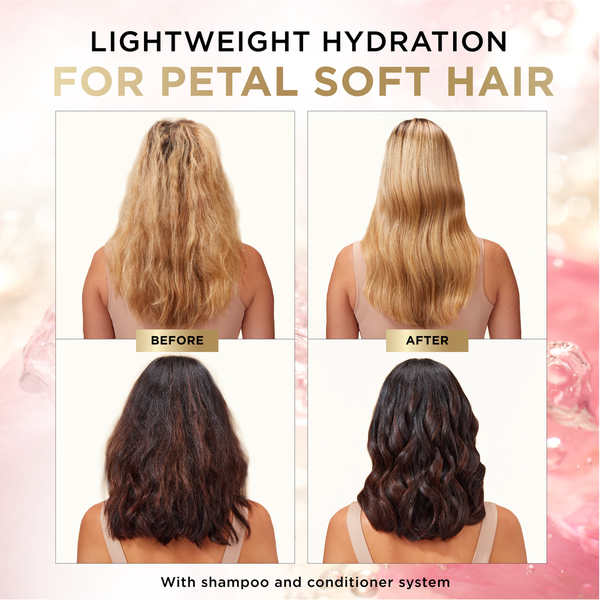 Pantene Nutrient Blends Miracle Moisture Boost Rose Water Conditioner for Dry Hair