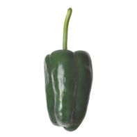 Poblano Pepper️