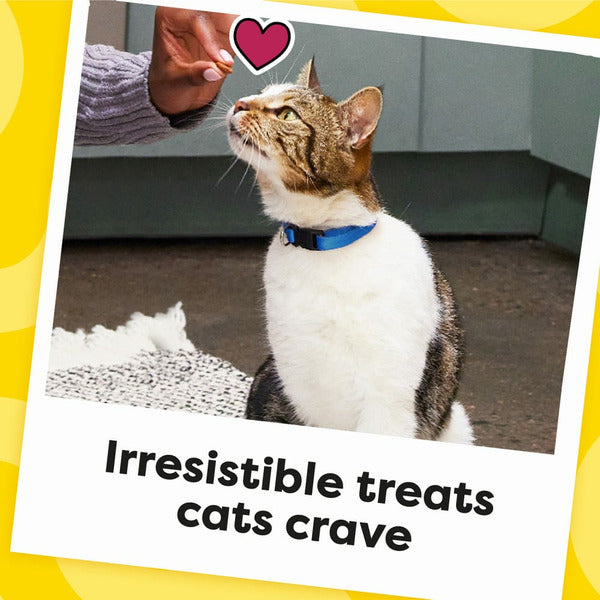 TEMPTATIONS Classic Crunchy and Soft Cat Treats, Rockin’ Lobster Flavor