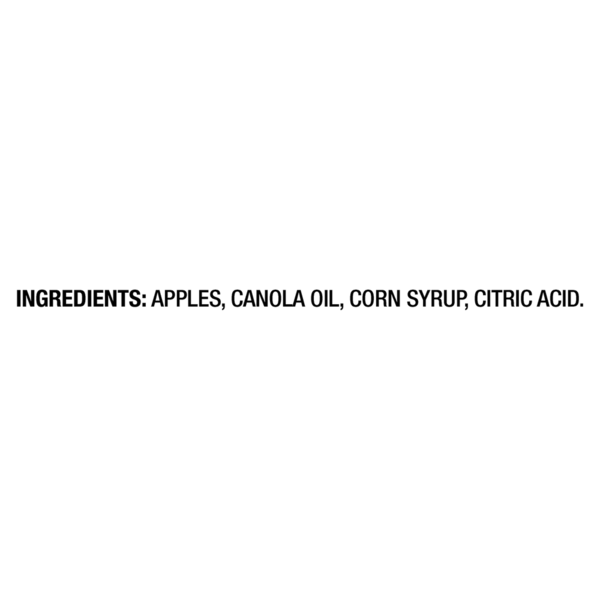 Seneca Crispy Red Delicious Apple Chips