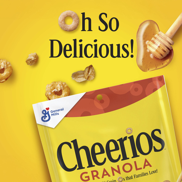 General Mills Cheerios Honey Nut Granola