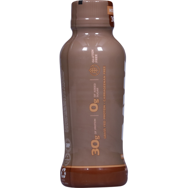 RAW Mocha Latte Protein Shake