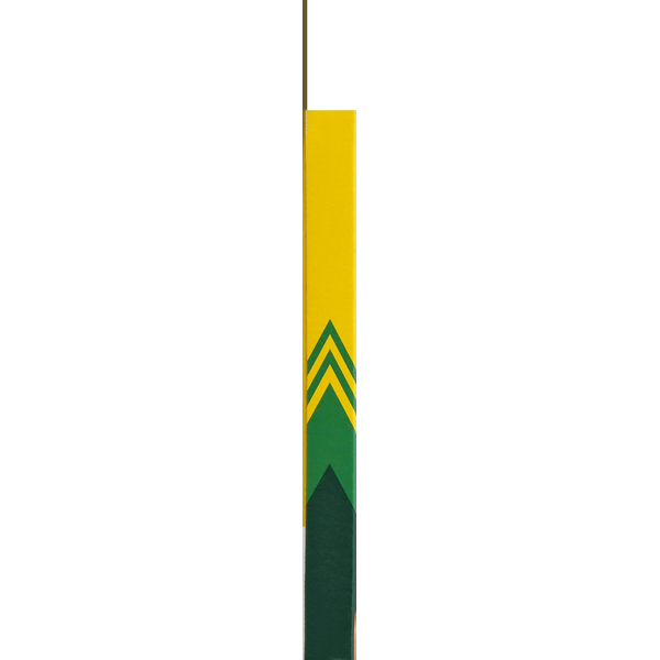 Crayola Crayons