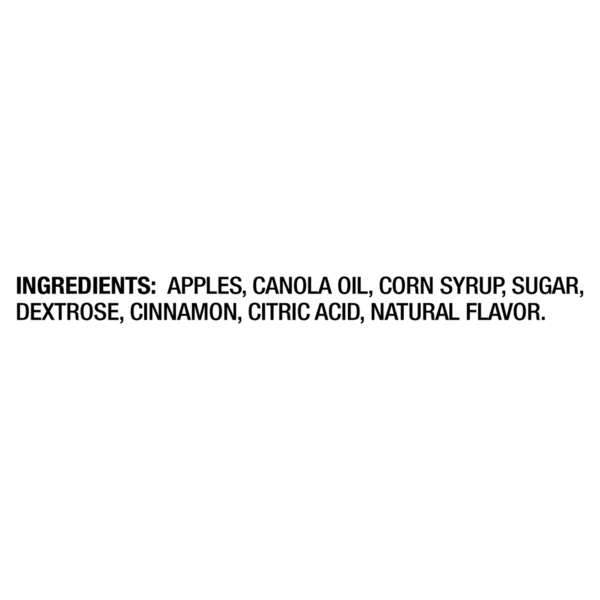 Seneca Cinnamon Crispy Apple Chips