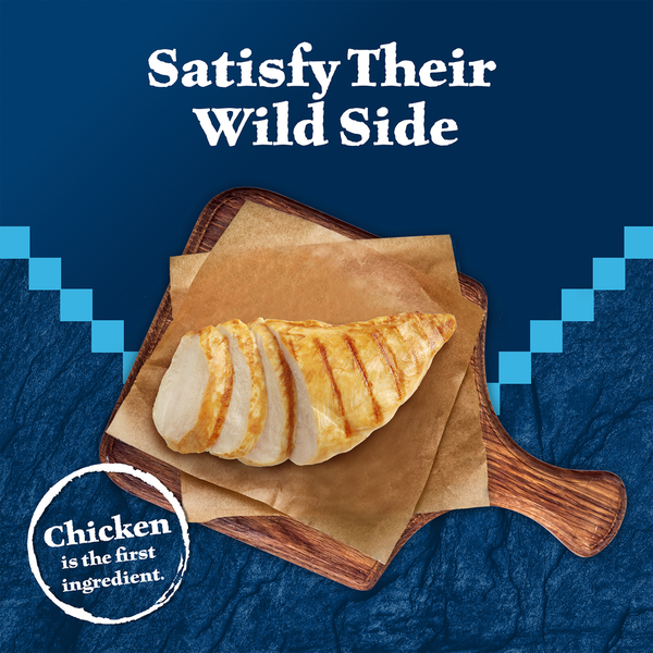Blue Buffalo Wilderness Grain Free Soft-Moist Cat Treats, Chicken & Turkey