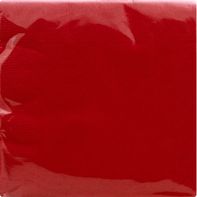 Sensations Napkins, Classic Red, 2 Ply️