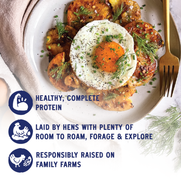 Pete & Gerry's Eggs, Organic, Brown, Free Range, Large