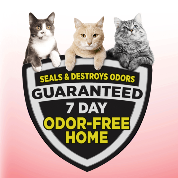 Arm & Hammer Clump & Seal Litter