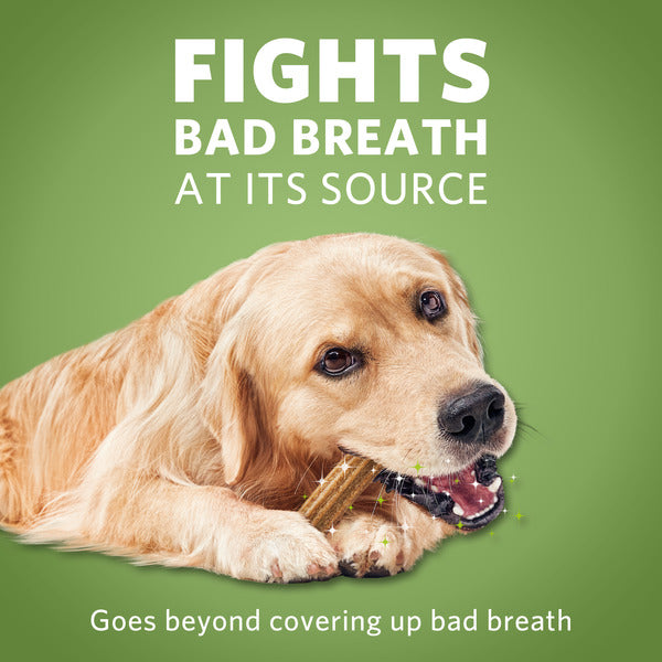 Purina DentaLife Large Dog Dental Chews; ActivFresh Daily Oral Care