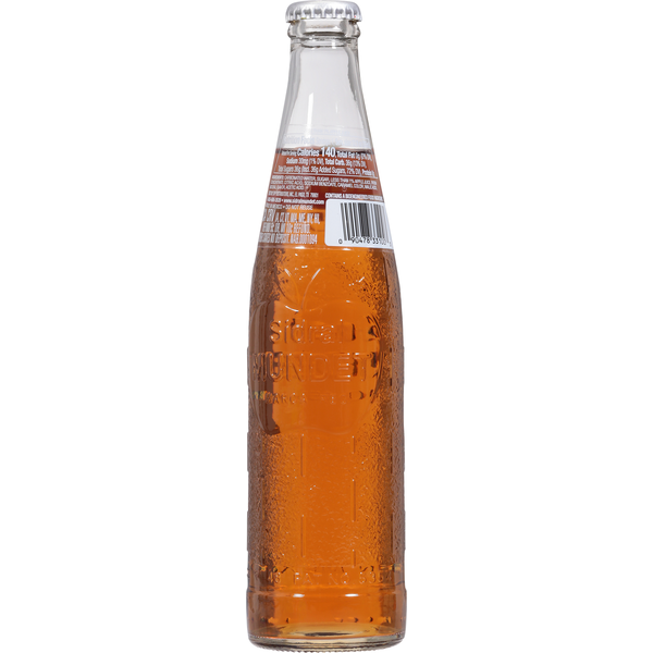 Sidral Mundet Soda, Apple