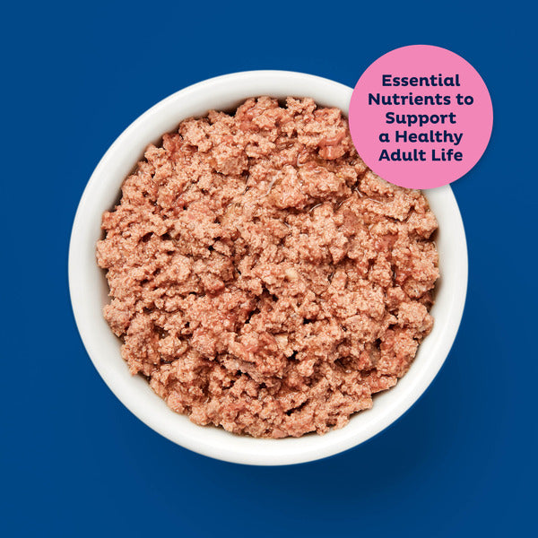 9Lives Paté Seafood Platter Wet Cat Food, 5.5 oz. Cans (Pack of 4)