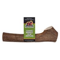RedBarn Large Whole Elk Antler️