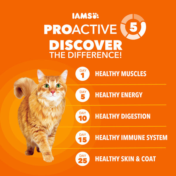IAMS PROACTIVE HEALTH Adult Healthy Dry Cat Food with Salmon Cat Kibble, 7 lb. Bag