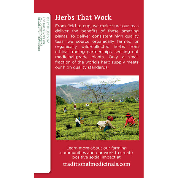 Traditional Medicinals Seasonal Teas Organic Echinacea Plus, Caffeine Free Herbal Tea