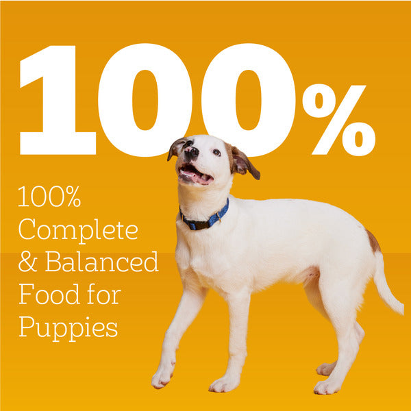 Pedigree Puppy Chopped Ground Dinner Dog Food with Chicken & Beef