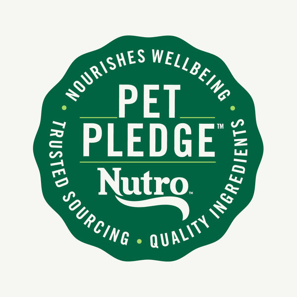 NUTRO Wholesome Essentials Indoor Dry Cat Food, Chicken & Brown Rice Recipe, 5 lbs.