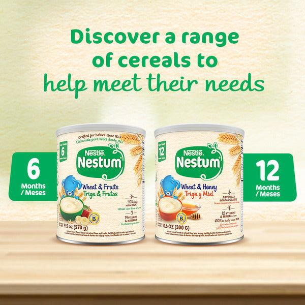 Nestlé NESTUM Infant Dry Cereal Export