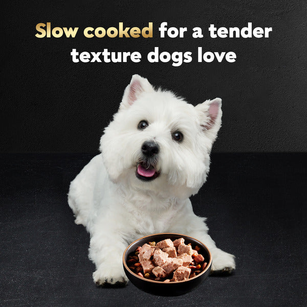 Cesar Loaf in Sauce Adult Wet Dog Food Turkey Recipe, 3.5 oz. Tray