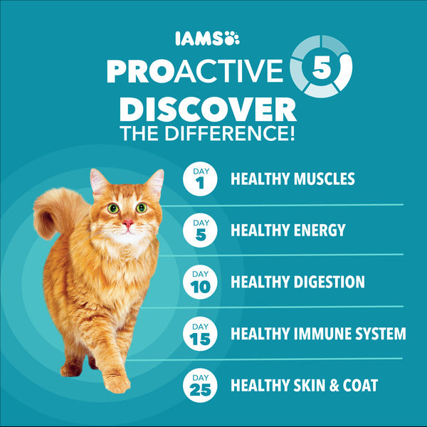 IAMS PROACTIVE HEALTH Adult Indoor Weight Control & Hairball Care Dry Cat Food with Chicken & Turkey Cat Kibble, 16 lb. Bag