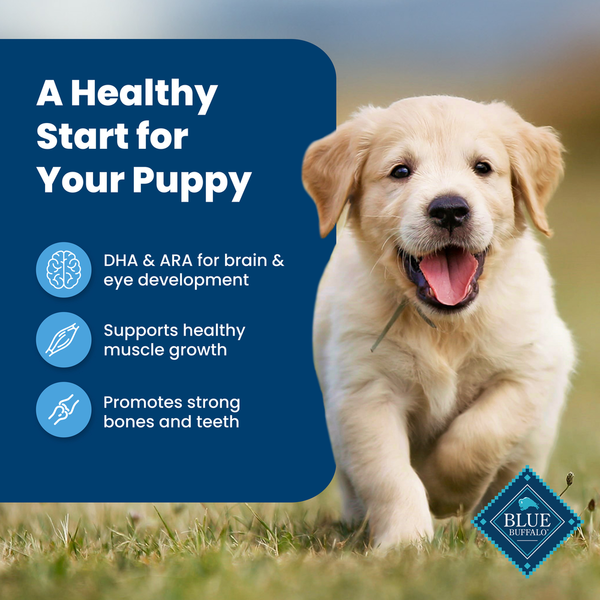 Blue Buffalo Life Protection Formula Natural Puppy Dry Dog Food, Chicken and Brown Rice