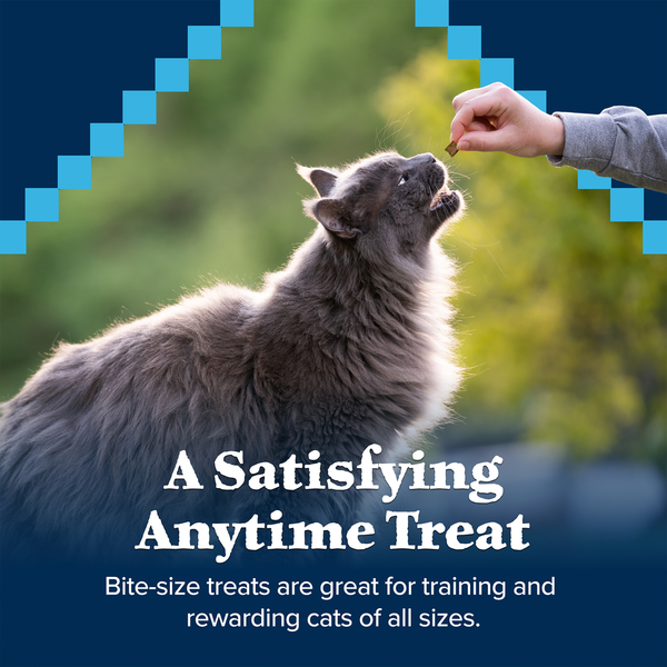 Blue Buffalo Wilderness Grain Free Soft-Moist Cat Treats, Chicken & Turkey