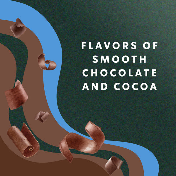 Starbucks Zero Sugar Chocolate Flavored Coffee Creamer
