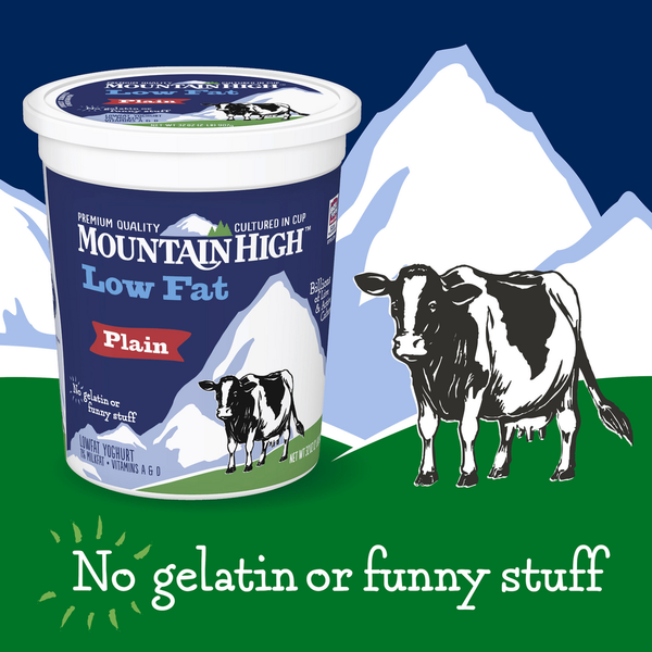 Mountain High Yoghurt Low Fat Plain Yogurt