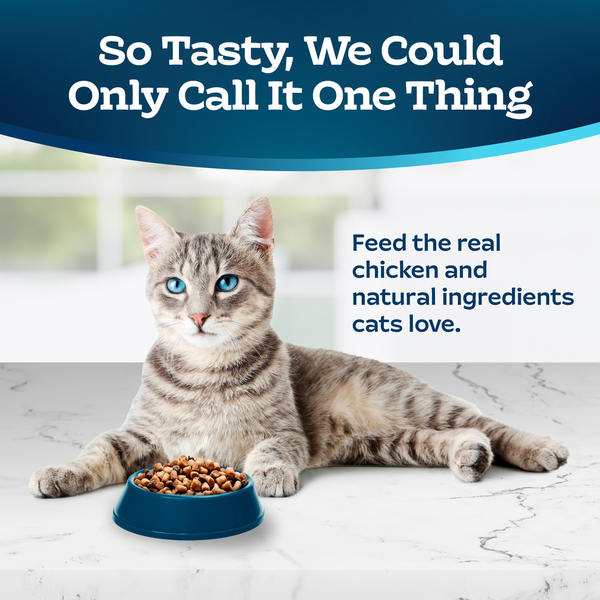 Blue Buffalo Indoor Hairball Control Natural Adult Dry Cat Food, Chicken & Brown Rice