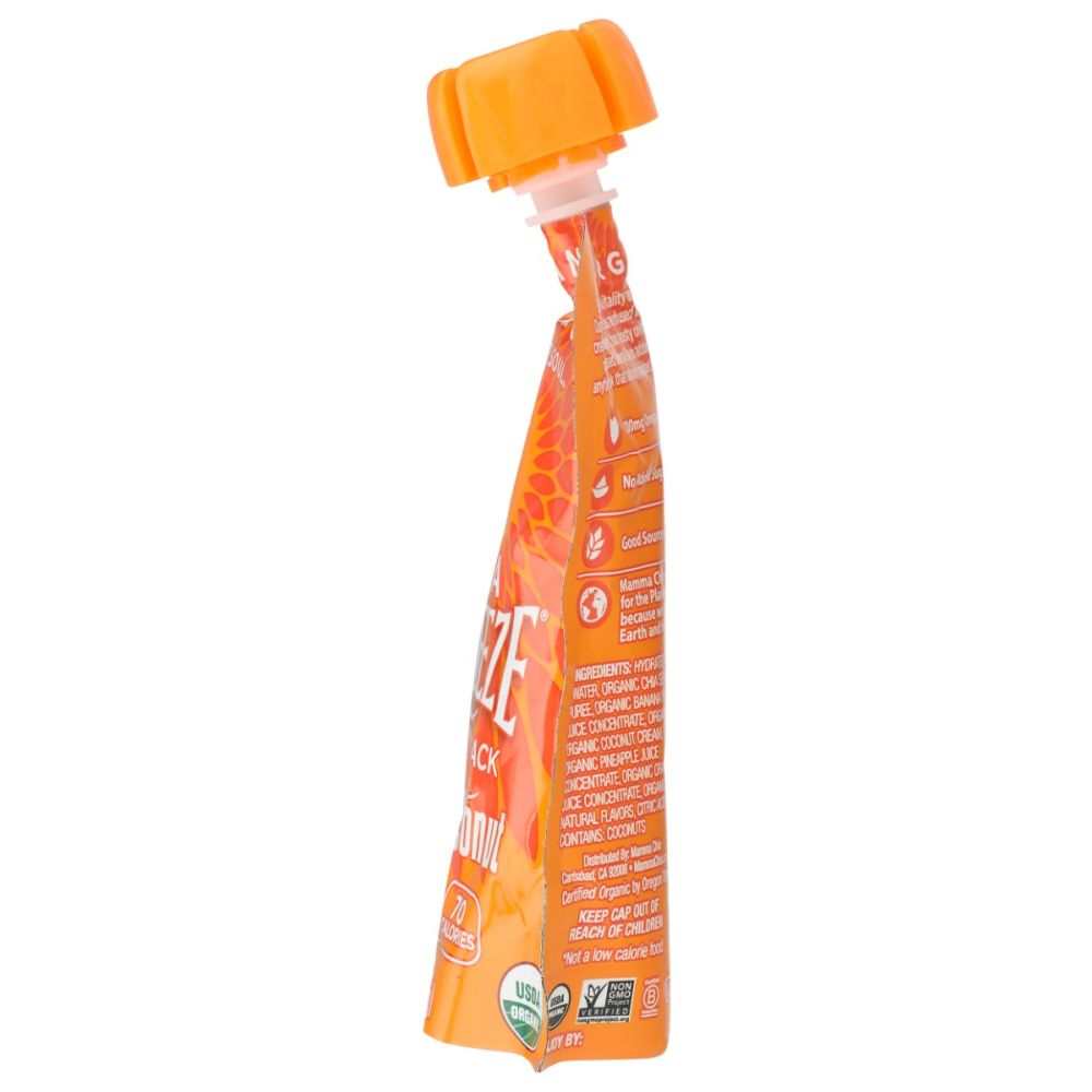 MAMMACHIA: Mango Coconut Organic Chia Squeeze - 3.5 oz for Vitality